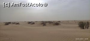 [P09] Desert aproape de furtuna » foto by mihais68
 - 
<span class="allrVoted glyphicon glyphicon-heart hidden" id="av1369422"></span>
<a class="m-l-10 hidden" id="sv1369422" onclick="voting_Foto_DelVot(,1369422,25830)" role="button">șterge vot <span class="glyphicon glyphicon-remove"></span></a>
<a id="v91369422" class=" c-red"  onclick="voting_Foto_SetVot(1369422)" role="button"><span class="glyphicon glyphicon-heart-empty"></span> <b>LIKE</b> = Votează poza</a> <img class="hidden"  id="f1369422W9" src="/imagini/loader.gif" border="0" /><span class="AjErrMes hidden" id="e1369422ErM"></span>