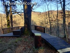 [P19] loc de observare si popas Lacul Verde și Lacul Roșu din Sovata » foto by Dana2008
 - 
<span class="allrVoted glyphicon glyphicon-heart hidden" id="av1209014"></span>
<a class="m-l-10 hidden" id="sv1209014" onclick="voting_Foto_DelVot(,1209014,25855)" role="button">șterge vot <span class="glyphicon glyphicon-remove"></span></a>
<a id="v91209014" class=" c-red"  onclick="voting_Foto_SetVot(1209014)" role="button"><span class="glyphicon glyphicon-heart-empty"></span> <b>LIKE</b> = Votează poza</a> <img class="hidden"  id="f1209014W9" src="/imagini/loader.gif" border="0" /><span class="AjErrMes hidden" id="e1209014ErM"></span>