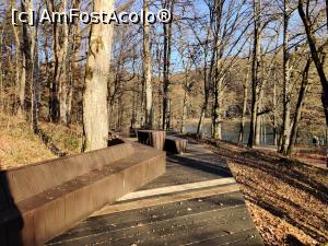 [P22] loc de observare si popas Lacul Ursu din Sovata » foto by Dana2008
 - 
<span class="allrVoted glyphicon glyphicon-heart hidden" id="av1209017"></span>
<a class="m-l-10 hidden" id="sv1209017" onclick="voting_Foto_DelVot(,1209017,25855)" role="button">șterge vot <span class="glyphicon glyphicon-remove"></span></a>
<a id="v91209017" class=" c-red"  onclick="voting_Foto_SetVot(1209017)" role="button"><span class="glyphicon glyphicon-heart-empty"></span> <b>LIKE</b> = Votează poza</a> <img class="hidden"  id="f1209017W9" src="/imagini/loader.gif" border="0" /><span class="AjErrMes hidden" id="e1209017ErM"></span>