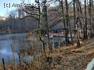 [P25] Lacul Aluniș din Sovata » foto by Dana2008
 - 
<span class="allrVoted glyphicon glyphicon-heart hidden" id="av1209020"></span>
<a class="m-l-10 hidden" id="sv1209020" onclick="voting_Foto_DelVot(,1209020,25855)" role="button">șterge vot <span class="glyphicon glyphicon-remove"></span></a>
<a id="v91209020" class=" c-red"  onclick="voting_Foto_SetVot(1209020)" role="button"><span class="glyphicon glyphicon-heart-empty"></span> <b>LIKE</b> = Votează poza</a> <img class="hidden"  id="f1209020W9" src="/imagini/loader.gif" border="0" /><span class="AjErrMes hidden" id="e1209020ErM"></span>