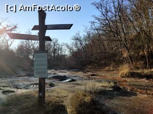 [P29] Traseul eco didactic al sării, Sovata, mlastinile si paraul sarat » foto by Dana2008
 - 
<span class="allrVoted glyphicon glyphicon-heart hidden" id="av1209024"></span>
<a class="m-l-10 hidden" id="sv1209024" onclick="voting_Foto_DelVot(,1209024,25855)" role="button">șterge vot <span class="glyphicon glyphicon-remove"></span></a>
<a id="v91209024" class=" c-red"  onclick="voting_Foto_SetVot(1209024)" role="button"><span class="glyphicon glyphicon-heart-empty"></span> <b>LIKE</b> = Votează poza</a> <img class="hidden"  id="f1209024W9" src="/imagini/loader.gif" border="0" /><span class="AjErrMes hidden" id="e1209024ErM"></span>