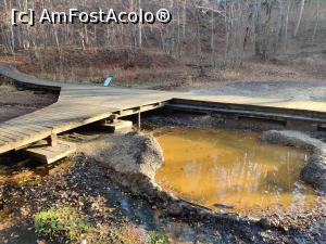 [P30] Traseul eco didactic al sării, Sovata, mlastinile si paraul sarat » foto by Dana2008
 - 
<span class="allrVoted glyphicon glyphicon-heart hidden" id="av1209025"></span>
<a class="m-l-10 hidden" id="sv1209025" onclick="voting_Foto_DelVot(,1209025,25855)" role="button">șterge vot <span class="glyphicon glyphicon-remove"></span></a>
<a id="v91209025" class=" c-red"  onclick="voting_Foto_SetVot(1209025)" role="button"><span class="glyphicon glyphicon-heart-empty"></span> <b>LIKE</b> = Votează poza</a> <img class="hidden"  id="f1209025W9" src="/imagini/loader.gif" border="0" /><span class="AjErrMes hidden" id="e1209025ErM"></span>