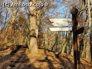 [P38] trasee din Sovata » foto by Dana2008
 - 
<span class="allrVoted glyphicon glyphicon-heart hidden" id="av1209033"></span>
<a class="m-l-10 hidden" id="sv1209033" onclick="voting_Foto_DelVot(,1209033,25855)" role="button">șterge vot <span class="glyphicon glyphicon-remove"></span></a>
<a id="v91209033" class=" c-red"  onclick="voting_Foto_SetVot(1209033)" role="button"><span class="glyphicon glyphicon-heart-empty"></span> <b>LIKE</b> = Votează poza</a> <img class="hidden"  id="f1209033W9" src="/imagini/loader.gif" border="0" /><span class="AjErrMes hidden" id="e1209033ErM"></span>