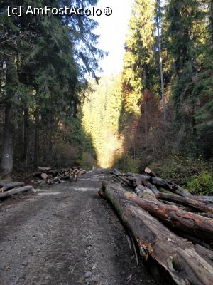 [P26] Vârful Zespezel 1278 m din M-ții Gurghiului- Valea Pârâului Schwartz punct albastru » foto by Dana2008
 - 
<span class="allrVoted glyphicon glyphicon-heart hidden" id="av1120367"></span>
<a class="m-l-10 hidden" id="sv1120367" onclick="voting_Foto_DelVot(,1120367,25855)" role="button">șterge vot <span class="glyphicon glyphicon-remove"></span></a>
<a id="v91120367" class=" c-red"  onclick="voting_Foto_SetVot(1120367)" role="button"><span class="glyphicon glyphicon-heart-empty"></span> <b>LIKE</b> = Votează poza</a> <img class="hidden"  id="f1120367W9" src="/imagini/loader.gif" border="0" /><span class="AjErrMes hidden" id="e1120367ErM"></span>