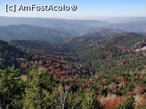 [P03] Vârful Zespezel 1278 m din M-ții Gurghiuluivedere din varf » foto by Dana2008
 - 
<span class="allrVoted glyphicon glyphicon-heart hidden" id="av1120227"></span>
<a class="m-l-10 hidden" id="sv1120227" onclick="voting_Foto_DelVot(,1120227,25855)" role="button">șterge vot <span class="glyphicon glyphicon-remove"></span></a>
<a id="v91120227" class=" c-red"  onclick="voting_Foto_SetVot(1120227)" role="button"><span class="glyphicon glyphicon-heart-empty"></span> <b>LIKE</b> = Votează poza</a> <img class="hidden"  id="f1120227W9" src="/imagini/loader.gif" border="0" /><span class="AjErrMes hidden" id="e1120227ErM"></span>