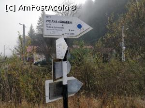 [P30] Vârful Zespezel 1278 m din M-ții Gurghiului- Valea Pârâului Schwartz punct albastru » foto by Dana2008
 - 
<span class="allrVoted glyphicon glyphicon-heart hidden" id="av1120377"></span>
<a class="m-l-10 hidden" id="sv1120377" onclick="voting_Foto_DelVot(,1120377,25855)" role="button">șterge vot <span class="glyphicon glyphicon-remove"></span></a>
<a id="v91120377" class=" c-red"  onclick="voting_Foto_SetVot(1120377)" role="button"><span class="glyphicon glyphicon-heart-empty"></span> <b>LIKE</b> = Votează poza</a> <img class="hidden"  id="f1120377W9" src="/imagini/loader.gif" border="0" /><span class="AjErrMes hidden" id="e1120377ErM"></span>