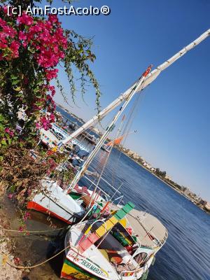 [P13] destul de multe barci mici, tot mai multi turisti merg pe cont propriu si iau localnici pentru aceasta plimbare » foto by roth
 - 
<span class="allrVoted glyphicon glyphicon-heart hidden" id="av1220834"></span>
<a class="m-l-10 hidden" id="sv1220834" onclick="voting_Foto_DelVot(,1220834,25858)" role="button">șterge vot <span class="glyphicon glyphicon-remove"></span></a>
<a id="v91220834" class=" c-red"  onclick="voting_Foto_SetVot(1220834)" role="button"><span class="glyphicon glyphicon-heart-empty"></span> <b>LIKE</b> = Votează poza</a> <img class="hidden"  id="f1220834W9" src="/imagini/loader.gif" border="0" /><span class="AjErrMes hidden" id="e1220834ErM"></span>