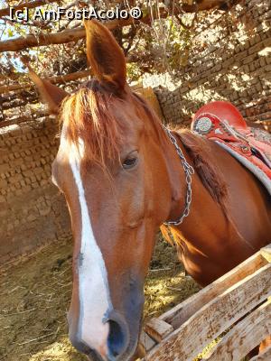 [P15] mama calut, frumoasa, ingrijita si foarte atenta la ce se intampla in jur » foto by roth
 - 
<span class="allrVoted glyphicon glyphicon-heart hidden" id="av1220836"></span>
<a class="m-l-10 hidden" id="sv1220836" onclick="voting_Foto_DelVot(,1220836,25858)" role="button">șterge vot <span class="glyphicon glyphicon-remove"></span></a>
<a id="v91220836" class=" c-red"  onclick="voting_Foto_SetVot(1220836)" role="button"><span class="glyphicon glyphicon-heart-empty"></span> <b>LIKE</b> = Votează poza</a> <img class="hidden"  id="f1220836W9" src="/imagini/loader.gif" border="0" /><span class="AjErrMes hidden" id="e1220836ErM"></span>