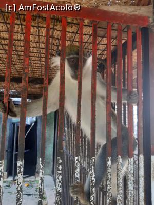 [P21] sunt frumoasa , nui asa? » foto by roth
 - 
<span class="allrVoted glyphicon glyphicon-heart hidden" id="av1220842"></span>
<a class="m-l-10 hidden" id="sv1220842" onclick="voting_Foto_DelVot(,1220842,25858)" role="button">șterge vot <span class="glyphicon glyphicon-remove"></span></a>
<a id="v91220842" class=" c-red"  onclick="voting_Foto_SetVot(1220842)" role="button"><span class="glyphicon glyphicon-heart-empty"></span> <b>LIKE</b> = Votează poza</a> <img class="hidden"  id="f1220842W9" src="/imagini/loader.gif" border="0" /><span class="AjErrMes hidden" id="e1220842ErM"></span>