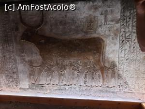 [P25] Valea Regilor » foto by roth
 - 
<span class="allrVoted glyphicon glyphicon-heart hidden" id="av1221000"></span>
<a class="m-l-10 hidden" id="sv1221000" onclick="voting_Foto_DelVot(,1221000,25858)" role="button">șterge vot <span class="glyphicon glyphicon-remove"></span></a>
<a id="v91221000" class=" c-red"  onclick="voting_Foto_SetVot(1221000)" role="button"><span class="glyphicon glyphicon-heart-empty"></span> <b>LIKE</b> = Votează poza</a> <img class="hidden"  id="f1221000W9" src="/imagini/loader.gif" border="0" /><span class="AjErrMes hidden" id="e1221000ErM"></span>