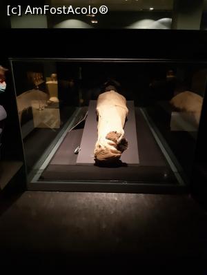 [P14] mumie aflata in muzeul din Luxor, tinuta in conditii optime de lumina si aer » foto by roth
 - 
<span class="allrVoted glyphicon glyphicon-heart hidden" id="av1222793"></span>
<a class="m-l-10 hidden" id="sv1222793" onclick="voting_Foto_DelVot(,1222793,25858)" role="button">șterge vot <span class="glyphicon glyphicon-remove"></span></a>
<a id="v91222793" class=" c-red"  onclick="voting_Foto_SetVot(1222793)" role="button"><span class="glyphicon glyphicon-heart-empty"></span> <b>LIKE</b> = Votează poza</a> <img class="hidden"  id="f1222793W9" src="/imagini/loader.gif" border="0" /><span class="AjErrMes hidden" id="e1222793ErM"></span>