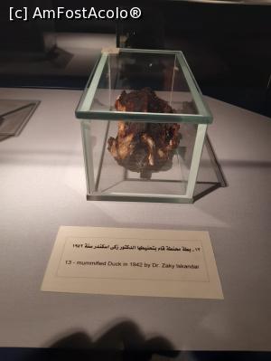 [P16] in vechiu Egipt erau mumificate nu doar persoanele  ci si diverse animale de pasa/companie/sacre sau cu alta insemnatate. Aici este o rata mumificata » foto by roth
 - 
<span class="allrVoted glyphicon glyphicon-heart hidden" id="av1222795"></span>
<a class="m-l-10 hidden" id="sv1222795" onclick="voting_Foto_DelVot(,1222795,25858)" role="button">șterge vot <span class="glyphicon glyphicon-remove"></span></a>
<a id="v91222795" class=" c-red"  onclick="voting_Foto_SetVot(1222795)" role="button"><span class="glyphicon glyphicon-heart-empty"></span> <b>LIKE</b> = Votează poza</a> <img class="hidden"  id="f1222795W9" src="/imagini/loader.gif" border="0" /><span class="AjErrMes hidden" id="e1222795ErM"></span>