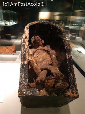 [P19] mumia unui babuin, simbol al zeului stiintei si cunostintei » foto by roth
 - 
<span class="allrVoted glyphicon glyphicon-heart hidden" id="av1222798"></span>
<a class="m-l-10 hidden" id="sv1222798" onclick="voting_Foto_DelVot(,1222798,25858)" role="button">șterge vot <span class="glyphicon glyphicon-remove"></span></a>
<a id="v91222798" class=" c-red"  onclick="voting_Foto_SetVot(1222798)" role="button"><span class="glyphicon glyphicon-heart-empty"></span> <b>LIKE</b> = Votează poza</a> <img class="hidden"  id="f1222798W9" src="/imagini/loader.gif" border="0" /><span class="AjErrMes hidden" id="e1222798ErM"></span>