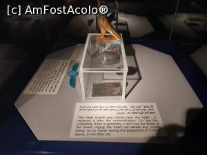 [P09] exponate din muzeul Mumificarii » foto by roth
 - 
<span class="allrVoted glyphicon glyphicon-heart hidden" id="av1222788"></span>
<a class="m-l-10 hidden" id="sv1222788" onclick="voting_Foto_DelVot(,1222788,25858)" role="button">șterge vot <span class="glyphicon glyphicon-remove"></span></a>
<a id="v91222788" class=" c-red"  onclick="voting_Foto_SetVot(1222788)" role="button"><span class="glyphicon glyphicon-heart-empty"></span> <b>LIKE</b> = Votează poza</a> <img class="hidden"  id="f1222788W9" src="/imagini/loader.gif" border="0" /><span class="AjErrMes hidden" id="e1222788ErM"></span>