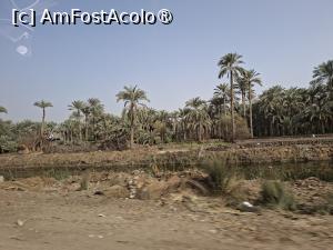 [P17] Pe drum de la Memphis la Dahshur, Brațul Rosetta al Nilului plin de deversări, de gunoaie.. de regulă nu pun astfel de poze, dar.... » foto by mprofeanu
 - 
<span class="allrVoted glyphicon glyphicon-heart hidden" id="av1525999"></span>
<a class="m-l-10 hidden" id="sv1525999" onclick="voting_Foto_DelVot(,1525999,25858)" role="button">șterge vot <span class="glyphicon glyphicon-remove"></span></a>
<a id="v91525999" class=" c-red"  onclick="voting_Foto_SetVot(1525999)" role="button"><span class="glyphicon glyphicon-heart-empty"></span> <b>LIKE</b> = Votează poza</a> <img class="hidden"  id="f1525999W9" src="/imagini/loader.gif" border="0" /><span class="AjErrMes hidden" id="e1525999ErM"></span>