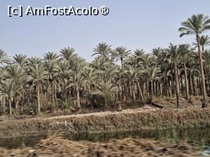 [P18] 18 Pe drum de la Memphis la Necropola Dahshur, păcat pentru frumoșii palmieri, canalul era plin de deversări, de gunoaie... » foto by mprofeanu
 - 
<span class="allrVoted glyphicon glyphicon-heart hidden" id="av1526000"></span>
<a class="m-l-10 hidden" id="sv1526000" onclick="voting_Foto_DelVot(,1526000,25858)" role="button">șterge vot <span class="glyphicon glyphicon-remove"></span></a>
<a id="v91526000" class=" c-red"  onclick="voting_Foto_SetVot(1526000)" role="button"><span class="glyphicon glyphicon-heart-empty"></span> <b>LIKE</b> = Votează poza</a> <img class="hidden"  id="f1526000W9" src="/imagini/loader.gif" border="0" /><span class="AjErrMes hidden" id="e1526000ErM"></span>