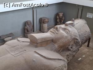 [P05] Memphis, Muzeul Mit Rahina, colosala Statuie a lui Ramses al II-lea » foto by mprofeanu
 - 
<span class="allrVoted glyphicon glyphicon-heart hidden" id="av1525987"></span>
<a class="m-l-10 hidden" id="sv1525987" onclick="voting_Foto_DelVot(,1525987,25858)" role="button">șterge vot <span class="glyphicon glyphicon-remove"></span></a>
<a id="v91525987" class=" c-red"  onclick="voting_Foto_SetVot(1525987)" role="button"><span class="glyphicon glyphicon-heart-empty"></span> <b>LIKE</b> = Votează poza</a> <img class="hidden"  id="f1525987W9" src="/imagini/loader.gif" border="0" /><span class="AjErrMes hidden" id="e1525987ErM"></span>