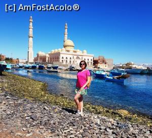 [P02] Hurghada este pentru mine o a doua casa. In spate Moscheea El Mina » foto by angela_tudose
 - 
<span class="allrVoted glyphicon glyphicon-heart hidden" id="av1112230"></span>
<a class="m-l-10 hidden" id="sv1112230" onclick="voting_Foto_DelVot(,1112230,25858)" role="button">șterge vot <span class="glyphicon glyphicon-remove"></span></a>
<a id="v91112230" class=" c-red"  onclick="voting_Foto_SetVot(1112230)" role="button"><span class="glyphicon glyphicon-heart-empty"></span> <b>LIKE</b> = Votează poza</a> <img class="hidden"  id="f1112230W9" src="/imagini/loader.gif" border="0" /><span class="AjErrMes hidden" id="e1112230ErM"></span>