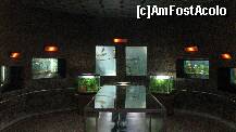 [P01] sala acvariilor din cadrul Muzeului Apelor Falticeni » foto by cristi82d
 - 
<span class="allrVoted glyphicon glyphicon-heart hidden" id="av143525"></span>
<a class="m-l-10 hidden" id="sv143525" onclick="voting_Foto_DelVot(,143525,25897)" role="button">șterge vot <span class="glyphicon glyphicon-remove"></span></a>
<a id="v9143525" class=" c-red"  onclick="voting_Foto_SetVot(143525)" role="button"><span class="glyphicon glyphicon-heart-empty"></span> <b>LIKE</b> = Votează poza</a> <img class="hidden"  id="f143525W9" src="/imagini/loader.gif" border="0" /><span class="AjErrMes hidden" id="e143525ErM"></span>