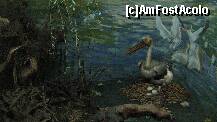 [P48] mediul Delta Dunarii » foto by cristi82d
 - 
<span class="allrVoted glyphicon glyphicon-heart hidden" id="av143604"></span>
<a class="m-l-10 hidden" id="sv143604" onclick="voting_Foto_DelVot(,143604,25897)" role="button">șterge vot <span class="glyphicon glyphicon-remove"></span></a>
<a id="v9143604" class=" c-red"  onclick="voting_Foto_SetVot(143604)" role="button"><span class="glyphicon glyphicon-heart-empty"></span> <b>LIKE</b> = Votează poza</a> <img class="hidden"  id="f143604W9" src="/imagini/loader.gif" border="0" /><span class="AjErrMes hidden" id="e143604ErM"></span>