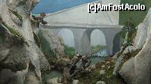 [P51] mediul de viata alpin » foto by cristi82d
 - 
<span class="allrVoted glyphicon glyphicon-heart hidden" id="av143607"></span>
<a class="m-l-10 hidden" id="sv143607" onclick="voting_Foto_DelVot(,143607,25897)" role="button">șterge vot <span class="glyphicon glyphicon-remove"></span></a>
<a id="v9143607" class=" c-red"  onclick="voting_Foto_SetVot(143607)" role="button"><span class="glyphicon glyphicon-heart-empty"></span> <b>LIKE</b> = Votează poza</a> <img class="hidden"  id="f143607W9" src="/imagini/loader.gif" border="0" /><span class="AjErrMes hidden" id="e143607ErM"></span>