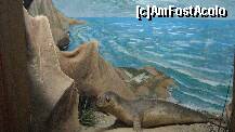 [P52] mediul de viata marin » foto by cristi82d
 - 
<span class="allrVoted glyphicon glyphicon-heart hidden" id="av143608"></span>
<a class="m-l-10 hidden" id="sv143608" onclick="voting_Foto_DelVot(,143608,25897)" role="button">șterge vot <span class="glyphicon glyphicon-remove"></span></a>
<a id="v9143608" class=" c-red"  onclick="voting_Foto_SetVot(143608)" role="button"><span class="glyphicon glyphicon-heart-empty"></span> <b>LIKE</b> = Votează poza</a> <img class="hidden"  id="f143608W9" src="/imagini/loader.gif" border="0" /><span class="AjErrMes hidden" id="e143608ErM"></span>