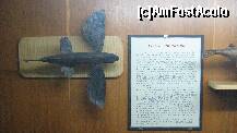 [P06] in muzeu sunt expuse multe specii de vietuitoare marine, in imagine-pestii aburatori » foto by cristi82d
 - 
<span class="allrVoted glyphicon glyphicon-heart hidden" id="av143538"></span>
<a class="m-l-10 hidden" id="sv143538" onclick="voting_Foto_DelVot(,143538,25897)" role="button">șterge vot <span class="glyphicon glyphicon-remove"></span></a>
<a id="v9143538" class=" c-red"  onclick="voting_Foto_SetVot(143538)" role="button"><span class="glyphicon glyphicon-heart-empty"></span> <b>LIKE</b> = Votează poza</a> <img class="hidden"  id="f143538W9" src="/imagini/loader.gif" border="0" /><span class="AjErrMes hidden" id="e143538ErM"></span>
