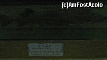 [P78] specie de sturion-cega » foto by cristi82d
 - 
<span class="allrVoted glyphicon glyphicon-heart hidden" id="av143642"></span>
<a class="m-l-10 hidden" id="sv143642" onclick="voting_Foto_DelVot(,143642,25897)" role="button">șterge vot <span class="glyphicon glyphicon-remove"></span></a>
<a id="v9143642" class=" c-red"  onclick="voting_Foto_SetVot(143642)" role="button"><span class="glyphicon glyphicon-heart-empty"></span> <b>LIKE</b> = Votează poza</a> <img class="hidden"  id="f143642W9" src="/imagini/loader.gif" border="0" /><span class="AjErrMes hidden" id="e143642ErM"></span>