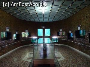 [P12] Sala acvariilor - Muzeul Apelor „Mihai Băcescu”.  » foto by tata123 🔱
 - 
<span class="allrVoted glyphicon glyphicon-heart hidden" id="av1124814"></span>
<a class="m-l-10 hidden" id="sv1124814" onclick="voting_Foto_DelVot(,1124814,25897)" role="button">șterge vot <span class="glyphicon glyphicon-remove"></span></a>
<a id="v91124814" class=" c-red"  onclick="voting_Foto_SetVot(1124814)" role="button"><span class="glyphicon glyphicon-heart-empty"></span> <b>LIKE</b> = Votează poza</a> <img class="hidden"  id="f1124814W9" src="/imagini/loader.gif" border="0" /><span class="AjErrMes hidden" id="e1124814ErM"></span>
