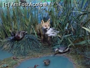 [P17] Diorama „Iazul Fălticenilor - vara”.  » foto by tata123 🔱
 - 
<span class="allrVoted glyphicon glyphicon-heart hidden" id="av1124819"></span>
<a class="m-l-10 hidden" id="sv1124819" onclick="voting_Foto_DelVot(,1124819,25897)" role="button">șterge vot <span class="glyphicon glyphicon-remove"></span></a>
<a id="v91124819" class=" c-red"  onclick="voting_Foto_SetVot(1124819)" role="button"><span class="glyphicon glyphicon-heart-empty"></span> <b>LIKE</b> = Votează poza</a> <img class="hidden"  id="f1124819W9" src="/imagini/loader.gif" border="0" /><span class="AjErrMes hidden" id="e1124819ErM"></span>