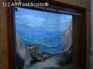 [P19] Diorama „Foca Mării Negre”.  » foto by tata123 🔱
 - 
<span class="allrVoted glyphicon glyphicon-heart hidden" id="av1124821"></span>
<a class="m-l-10 hidden" id="sv1124821" onclick="voting_Foto_DelVot(,1124821,25897)" role="button">șterge vot <span class="glyphicon glyphicon-remove"></span></a>
<a id="v91124821" class=" c-red"  onclick="voting_Foto_SetVot(1124821)" role="button"><span class="glyphicon glyphicon-heart-empty"></span> <b>LIKE</b> = Votează poza</a> <img class="hidden"  id="f1124821W9" src="/imagini/loader.gif" border="0" /><span class="AjErrMes hidden" id="e1124821ErM"></span>