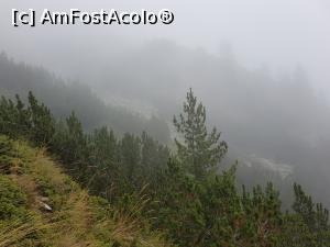 [P17] Cam asa am început urcarea, cu mulți nori.  » foto by monik-50
 - 
<span class="allrVoted glyphicon glyphicon-heart hidden" id="av1125601"></span>
<a class="m-l-10 hidden" id="sv1125601" onclick="voting_Foto_DelVot(,1125601,25907)" role="button">șterge vot <span class="glyphicon glyphicon-remove"></span></a>
<a id="v91125601" class=" c-red"  onclick="voting_Foto_SetVot(1125601)" role="button"><span class="glyphicon glyphicon-heart-empty"></span> <b>LIKE</b> = Votează poza</a> <img class="hidden"  id="f1125601W9" src="/imagini/loader.gif" border="0" /><span class="AjErrMes hidden" id="e1125601ErM"></span>