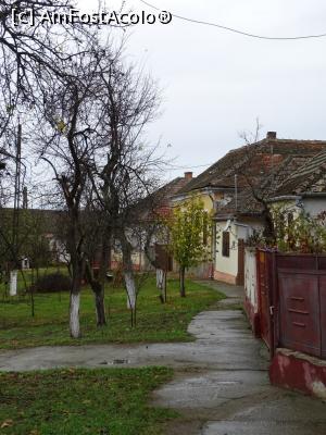 [P11] Pe lângă casele fostului sat de șvabi bănățeni.  » foto by tata123 🔱
 - 
<span class="allrVoted glyphicon glyphicon-heart hidden" id="av1126022"></span>
<a class="m-l-10 hidden" id="sv1126022" onclick="voting_Foto_DelVot(,1126022,25913)" role="button">șterge vot <span class="glyphicon glyphicon-remove"></span></a>
<a id="v91126022" class=" c-red"  onclick="voting_Foto_SetVot(1126022)" role="button"><span class="glyphicon glyphicon-heart-empty"></span> <b>LIKE</b> = Votează poza</a> <img class="hidden"  id="f1126022W9" src="/imagini/loader.gif" border="0" /><span class="AjErrMes hidden" id="e1126022ErM"></span>