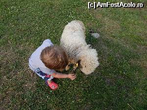 [P09]  -- <small>// FĂRĂ DESCRIERE</small> » foto by annaga
 - 
<span class="allrVoted glyphicon glyphicon-heart hidden" id="av523231"></span>
<a class="m-l-10 hidden" id="sv523231" onclick="voting_Foto_DelVot(,523231,25938)" role="button">șterge vot <span class="glyphicon glyphicon-remove"></span></a>
<a id="v9523231" class=" c-red"  onclick="voting_Foto_SetVot(523231)" role="button"><span class="glyphicon glyphicon-heart-empty"></span> <b>LIKE</b> = Votează poza</a> <img class="hidden"  id="f523231W9" src="/imagini/loader.gif" border="0" /><span class="AjErrMes hidden" id="e523231ErM"></span>
