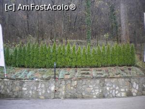 [P02]  -- <small>// FĂRĂ DESCRIERE</small> » foto by ceasornicarul
 - 
<span class="allrVoted glyphicon glyphicon-heart hidden" id="av1129660"></span>
<a class="m-l-10 hidden" id="sv1129660" onclick="voting_Foto_DelVot(,1129660,25965)" role="button">șterge vot <span class="glyphicon glyphicon-remove"></span></a>
<a id="v91129660" class=" c-red"  onclick="voting_Foto_SetVot(1129660)" role="button"><span class="glyphicon glyphicon-heart-empty"></span> <b>LIKE</b> = Votează poza</a> <img class="hidden"  id="f1129660W9" src="/imagini/loader.gif" border="0" /><span class="AjErrMes hidden" id="e1129660ErM"></span>