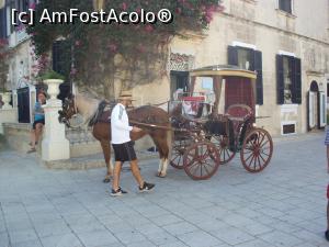 [P07] prin Medina » foto by Flaviu96
 - 
<span class="allrVoted glyphicon glyphicon-heart hidden" id="av1133615"></span>
<a class="m-l-10 hidden" id="sv1133615" onclick="voting_Foto_DelVot(,1133615,25997)" role="button">șterge vot <span class="glyphicon glyphicon-remove"></span></a>
<a id="v91133615" class=" c-red"  onclick="voting_Foto_SetVot(1133615)" role="button"><span class="glyphicon glyphicon-heart-empty"></span> <b>LIKE</b> = Votează poza</a> <img class="hidden"  id="f1133615W9" src="/imagini/loader.gif" border="0" /><span class="AjErrMes hidden" id="e1133615ErM"></span>