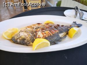 [P11] Eu am primit un monstru Marin, să mă satur! (Delicios, dealtfel.) » foto by crismis
 - 
<span class="allrVoted glyphicon glyphicon-heart hidden" id="av1258430"></span>
<a class="m-l-10 hidden" id="sv1258430" onclick="voting_Foto_DelVot(,1258430,26002)" role="button">șterge vot <span class="glyphicon glyphicon-remove"></span></a>
<a id="v91258430" class=" c-red"  onclick="voting_Foto_SetVot(1258430)" role="button"><span class="glyphicon glyphicon-heart-empty"></span> <b>LIKE</b> = Votează poza</a> <img class="hidden"  id="f1258430W9" src="/imagini/loader.gif" border="0" /><span class="AjErrMes hidden" id="e1258430ErM"></span>