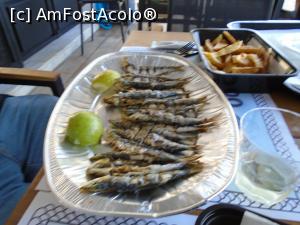 [P08] Il Mondo di Mare: sardinele » foto by Carmen Ion
 - 
<span class="allrVoted glyphicon glyphicon-heart hidden" id="av1134157"></span>
<a class="m-l-10 hidden" id="sv1134157" onclick="voting_Foto_DelVot(,1134157,26002)" role="button">șterge vot <span class="glyphicon glyphicon-remove"></span></a>
<a id="v91134157" class=" c-red"  onclick="voting_Foto_SetVot(1134157)" role="button"><span class="glyphicon glyphicon-heart-empty"></span> <b>LIKE</b> = Votează poza</a> <img class="hidden"  id="f1134157W9" src="/imagini/loader.gif" border="0" /><span class="AjErrMes hidden" id="e1134157ErM"></span>