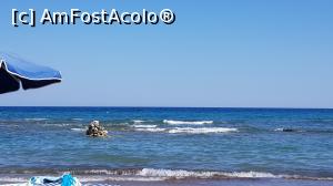 [P12] Marea cea mare, calda si destul de linistita » foto by Dorina9
 - 
<span class="allrVoted glyphicon glyphicon-heart hidden" id="av1153388"></span>
<a class="m-l-10 hidden" id="sv1153388" onclick="voting_Foto_DelVot(,1153388,26022)" role="button">șterge vot <span class="glyphicon glyphicon-remove"></span></a>
<a id="v91153388" class=" c-red"  onclick="voting_Foto_SetVot(1153388)" role="button"><span class="glyphicon glyphicon-heart-empty"></span> <b>LIKE</b> = Votează poza</a> <img class="hidden"  id="f1153388W9" src="/imagini/loader.gif" border="0" /><span class="AjErrMes hidden" id="e1153388ErM"></span>