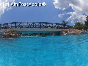 [P03] piscina » foto by LaBursaRo
 - 
<span class="allrVoted glyphicon glyphicon-heart hidden" id="av1136060"></span>
<a class="m-l-10 hidden" id="sv1136060" onclick="voting_Foto_DelVot(,1136060,26022)" role="button">șterge vot <span class="glyphicon glyphicon-remove"></span></a>
<a id="v91136060" class=" c-red"  onclick="voting_Foto_SetVot(1136060)" role="button"><span class="glyphicon glyphicon-heart-empty"></span> <b>LIKE</b> = Votează poza</a> <img class="hidden"  id="f1136060W9" src="/imagini/loader.gif" border="0" /><span class="AjErrMes hidden" id="e1136060ErM"></span>
