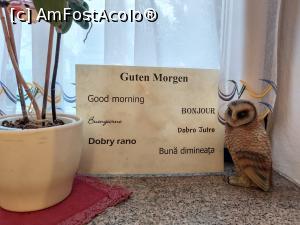 [P22] Frumos nu?  » foto by diana2015
 - 
<span class="allrVoted glyphicon glyphicon-heart hidden" id="av1138735"></span>
<a class="m-l-10 hidden" id="sv1138735" onclick="voting_Foto_DelVot(,1138735,26058)" role="button">șterge vot <span class="glyphicon glyphicon-remove"></span></a>
<a id="v91138735" class=" c-red"  onclick="voting_Foto_SetVot(1138735)" role="button"><span class="glyphicon glyphicon-heart-empty"></span> <b>LIKE</b> = Votează poza</a> <img class="hidden"  id="f1138735W9" src="/imagini/loader.gif" border="0" /><span class="AjErrMes hidden" id="e1138735ErM"></span>