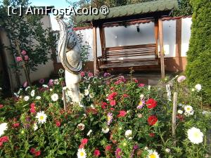 [P25] Balansoarul în plin soare » foto by laurand
 - 
<span class="allrVoted glyphicon glyphicon-heart hidden" id="av1506451"></span>
<a class="m-l-10 hidden" id="sv1506451" onclick="voting_Foto_DelVot(,1506451,26068)" role="button">șterge vot <span class="glyphicon glyphicon-remove"></span></a>
<a id="v91506451" class=" c-red"  onclick="voting_Foto_SetVot(1506451)" role="button"><span class="glyphicon glyphicon-heart-empty"></span> <b>LIKE</b> = Votează poza</a> <img class="hidden"  id="f1506451W9" src="/imagini/loader.gif" border="0" /><span class="AjErrMes hidden" id="e1506451ErM"></span>