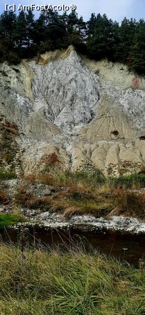 [P18] Anul acesta in iulie, tot ce e alb, era acoperit de noroi » foto by dorgo
 - 
<span class="allrVoted glyphicon glyphicon-heart hidden" id="av1389363"></span>
<a class="m-l-10 hidden" id="sv1389363" onclick="voting_Foto_DelVot(,1389363,26075)" role="button">șterge vot <span class="glyphicon glyphicon-remove"></span></a>
<a id="v91389363" class=" c-red"  onclick="voting_Foto_SetVot(1389363)" role="button"><span class="glyphicon glyphicon-heart-empty"></span> <b>LIKE</b> = Votează poza</a> <img class="hidden"  id="f1389363W9" src="/imagini/loader.gif" border="0" /><span class="AjErrMes hidden" id="e1389363ErM"></span>