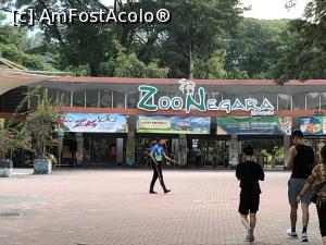 [P01] Bine ati venit la Zoo Negara in KL » foto by Dan&Ema
 - 
<span class="allrVoted glyphicon glyphicon-heart hidden" id="av1140763"></span>
<a class="m-l-10 hidden" id="sv1140763" onclick="voting_Foto_DelVot(,1140763,26090)" role="button">șterge vot <span class="glyphicon glyphicon-remove"></span></a>
<a id="v91140763" class=" c-red"  onclick="voting_Foto_SetVot(1140763)" role="button"><span class="glyphicon glyphicon-heart-empty"></span> <b>LIKE</b> = Votează poza</a> <img class="hidden"  id="f1140763W9" src="/imagini/loader.gif" border="0" /><span class="AjErrMes hidden" id="e1140763ErM"></span>
