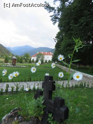 [P12] Mănăstirea Brâncoveanu din Sâmbăta.  » foto by tata123 🔱
 - 
<span class="allrVoted glyphicon glyphicon-heart hidden" id="av1141376"></span>
<a class="m-l-10 hidden" id="sv1141376" onclick="voting_Foto_DelVot(,1141376,26091)" role="button">șterge vot <span class="glyphicon glyphicon-remove"></span></a>
<a id="v91141376" class=" c-red"  onclick="voting_Foto_SetVot(1141376)" role="button"><span class="glyphicon glyphicon-heart-empty"></span> <b>LIKE</b> = Votează poza</a> <img class="hidden"  id="f1141376W9" src="/imagini/loader.gif" border="0" /><span class="AjErrMes hidden" id="e1141376ErM"></span>