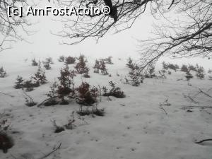 [P29] Gata, am intrat in pădure » foto by Mika
 - 
<span class="allrVoted glyphicon glyphicon-heart hidden" id="av1212905"></span>
<a class="m-l-10 hidden" id="sv1212905" onclick="voting_Foto_DelVot(,1212905,26092)" role="button">șterge vot <span class="glyphicon glyphicon-remove"></span></a>
<a id="v91212905" class=" c-red"  onclick="voting_Foto_SetVot(1212905)" role="button"><span class="glyphicon glyphicon-heart-empty"></span> <b>LIKE</b> = Votează poza</a> <img class="hidden"  id="f1212905W9" src="/imagini/loader.gif" border="0" /><span class="AjErrMes hidden" id="e1212905ErM"></span>