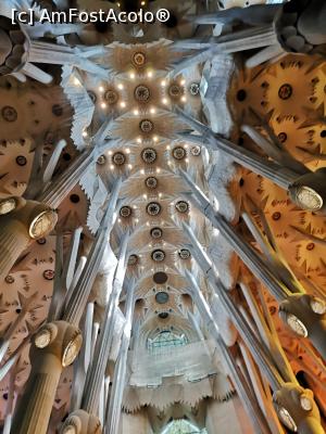 [P16] Sagrada Familia (interior)  » foto by crismis
 - 
<span class="allrVoted glyphicon glyphicon-heart hidden" id="av1141983"></span>
<a class="m-l-10 hidden" id="sv1141983" onclick="voting_Foto_DelVot(,1141983,26107)" role="button">șterge vot <span class="glyphicon glyphicon-remove"></span></a>
<a id="v91141983" class=" c-red"  onclick="voting_Foto_SetVot(1141983)" role="button"><span class="glyphicon glyphicon-heart-empty"></span> <b>LIKE</b> = Votează poza</a> <img class="hidden"  id="f1141983W9" src="/imagini/loader.gif" border="0" /><span class="AjErrMes hidden" id="e1141983ErM"></span>
