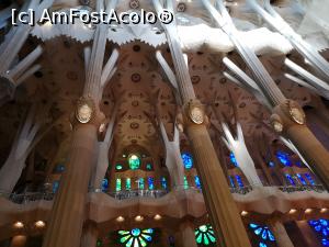 [P17] Sagrada Familia (interior)  » foto by crismis
 - 
<span class="allrVoted glyphicon glyphicon-heart hidden" id="av1141984"></span>
<a class="m-l-10 hidden" id="sv1141984" onclick="voting_Foto_DelVot(,1141984,26107)" role="button">șterge vot <span class="glyphicon glyphicon-remove"></span></a>
<a id="v91141984" class=" c-red"  onclick="voting_Foto_SetVot(1141984)" role="button"><span class="glyphicon glyphicon-heart-empty"></span> <b>LIKE</b> = Votează poza</a> <img class="hidden"  id="f1141984W9" src="/imagini/loader.gif" border="0" /><span class="AjErrMes hidden" id="e1141984ErM"></span>
