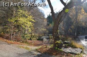 [P03] Excursie pe Vitoșa - un pârâu ce curge pe sub pietrele aurii » foto by Dragoș_MD
 - 
<span class="allrVoted glyphicon glyphicon-heart hidden" id="av1142971"></span>
<a class="m-l-10 hidden" id="sv1142971" onclick="voting_Foto_DelVot(,1142971,26117)" role="button">șterge vot <span class="glyphicon glyphicon-remove"></span></a>
<a id="v91142971" class=" c-red"  onclick="voting_Foto_SetVot(1142971)" role="button"><span class="glyphicon glyphicon-heart-empty"></span> <b>LIKE</b> = Votează poza</a> <img class="hidden"  id="f1142971W9" src="/imagini/loader.gif" border="0" /><span class="AjErrMes hidden" id="e1142971ErM"></span>