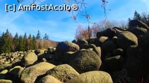 [P09] Excursie pe Vitoșa - Zlatnite Mostove » foto by Dragoș_MD
 - 
<span class="allrVoted glyphicon glyphicon-heart hidden" id="av1142977"></span>
<a class="m-l-10 hidden" id="sv1142977" onclick="voting_Foto_DelVot(,1142977,26117)" role="button">șterge vot <span class="glyphicon glyphicon-remove"></span></a>
<a id="v91142977" class=" c-red"  onclick="voting_Foto_SetVot(1142977)" role="button"><span class="glyphicon glyphicon-heart-empty"></span> <b>LIKE</b> = Votează poza</a> <img class="hidden"  id="f1142977W9" src="/imagini/loader.gif" border="0" /><span class="AjErrMes hidden" id="e1142977ErM"></span>
